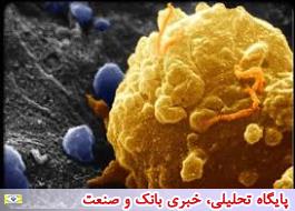 میزان مرگ در هر 100 مورد سرطان در ایران کاهش یافت